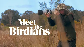 Australian bird of the year 2021: Meet the 'birdians'