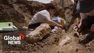 100-million-year-old plesiosaur reptile skeleton found in Australia's outback