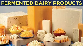 Fermented Dairy Products (1.15): Dr. PK Mandal