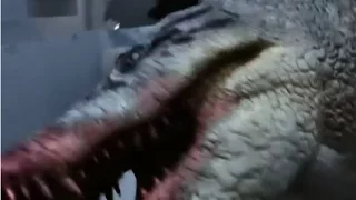 All Creature Effects #1: Lake Placid vs Anaconda