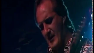 JAN AKKERMAN - Rare Live Germany 1985