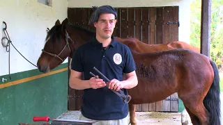 Herrador de caballos - Ángel Sosa