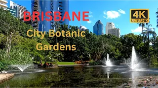 Brisbane, Australia: City Botanic Gardens Sunday Morning Walk (4K)