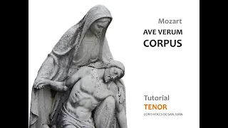 Ave Verum TENOR Tutorial de Entrenamiento