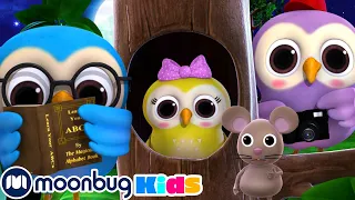 A Wise Old Owl | Little Baby Bum | Kids Songs | Nursery Rhymes | Baby Songs