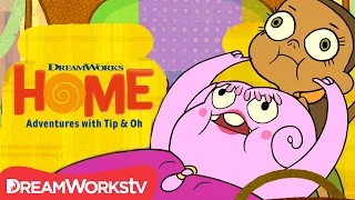 Daaang, It's Sharzod! | DreamWorks Home Adventures With Tip & Oh