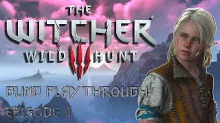 WITCHER 3 - BLIND PLAYTHROUGH - FIRST PERSON #1