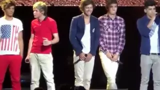 Harry Hitting Liam In The Balls