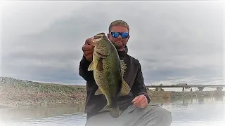 Big Fish on the California Delta