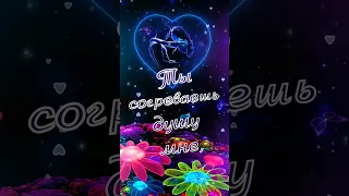 Люблю тебя! 💗 😍 💋 Для Тебя 💌