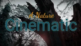 Nature | Cinematic background | No Copyright Background Music