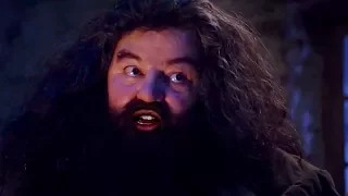If Hagrid Had Stopped At The Wrong House First