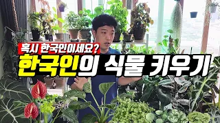 한국인의 식물 키우기