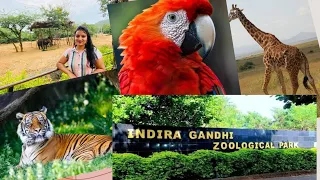 Vizag zoo | Indira Gandhi zoological park | Must visit place | Visakhapatnam#vizag #zoo