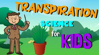 Transpiration | Water Cycle | Science for Kids