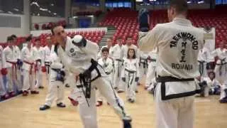 Stagiul Internațional de Taekwondo Sibiu 2014 - Tomaz Barada