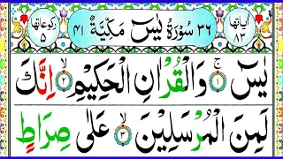 Surah Yasin 💚+💕 Surah Rahman 💚+💕 Surah Waqiah 💚+💕 Surah Mulk pani patti voice Live