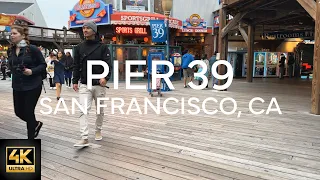 Walking Tour of Pier 39 in San Francisco, California #pier39  [4K] 🇺🇸