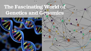 The Fascinating World of Genetics and Genomics - Explained in 6 Minutes