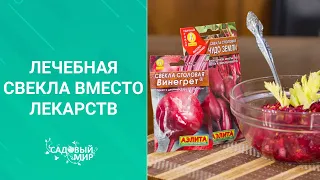 Лечебная свекла вместо лекарств