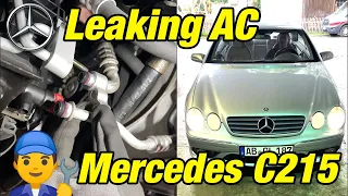 How to repair a leaking AC System on a Mercedes C215 CL500 W220