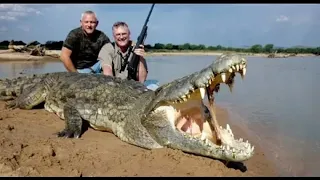 Охота на крокодила (hd) Документальный детектив