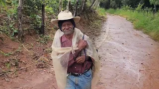 Zé Da iota Vive Sozinho No Meio Do Mato Ganhou Uma Serpentina