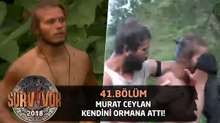 Murat Ceylan çılgına döndü! Kendini ormana attı... | 41. Bölüm | Survivor 2018