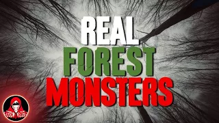 5 REAL Monsters in the Forest - Darkness Prevails