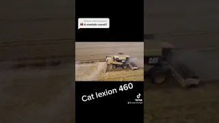 Lexion 460 cat