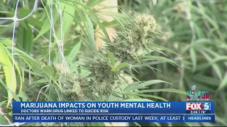 Marijuana Impacts On Youth Mental Health