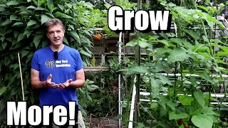 5 Tips for Beginners to Grow More Food in a Small Garden