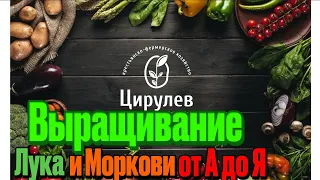 КФХ Цирулева Е.П.Часть 2. Технология Выращивание лука от А до Я. Выращивание моркови от А до Я.