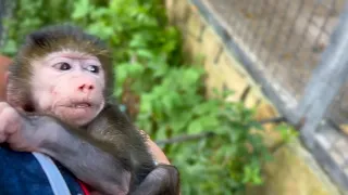 Люся шугается  Джони, а он к ней ВСЕЙ ДУШОЙ! Ангелина улучшает парк!