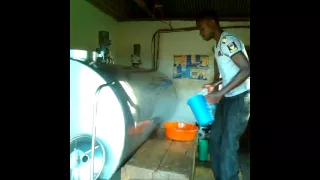 Cleaning Milk Tank at Collection Centre (Kiboga District)