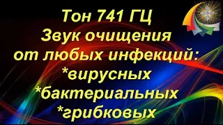 Звук Вибрация 741 ГЦ для очищения человека от вирусов и инфекций! Очищение Ауры и Энергетики в доме!