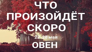 ОВЕН🍀 Прогноз на неделю (22-28 мая 2023). Расклад от ТАТЬЯНЫ КЛЕВЕР. Клевер таро.