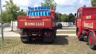 Circus Roncalli Salzburg 2014