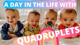 A day in the life with quadruplets