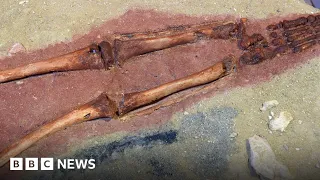 Skeleton reveals early humans had sex with Neanderthals - BBC News