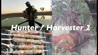 Hunter/Harvester Day to Day 2 (Ducks, Venison Kofta recipe, Red stags & Foraging)