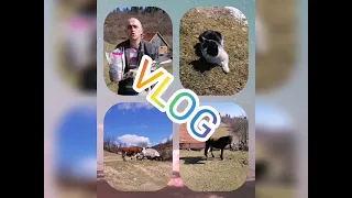 Выходные в сербской деревне. Викенд у српском селу.Weekend in a Serbian village.