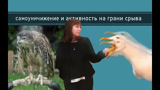 ДЕЯТЕЛЬНОСТНЫЙ ТИП ЛИЧНОСТИ И АЛЬТРУИСТ / БЕРЕГИТЕ ЭТИХ ЛЮДЕЙ. ОНИ ВАМ ПРИГОДЯТСЯ. Конфликтология 95