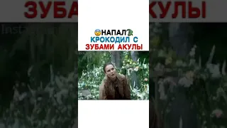 😨Напал🐊Крокодил с зубами акулы