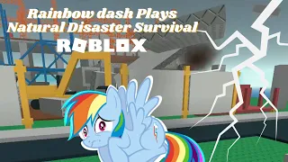 Rainbow dash Plays Natural Disaster Survival Roblox