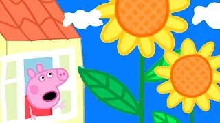 Flores Gigantes 🌻 Peppa Pig Português Brasil | Desenhos Animados