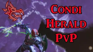 GW2 Condition Herald PvP Build Guide + Commentary