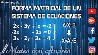 Forma o expresión matricial de un sistema de ecuaciones lineales