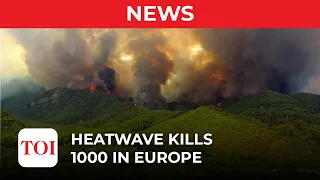 Heatwave kills 1000 people in Europe, England citizens feeling the need for AC, fans
