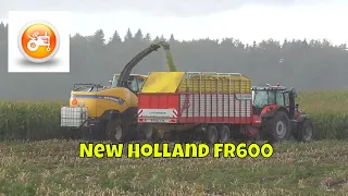 Silage 2018 | New Holland FR600 forager with Pöttinger Jumbo 8010 & Massey Ferguson